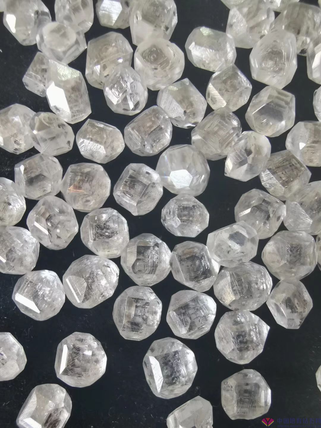 微信图片_20200518160513