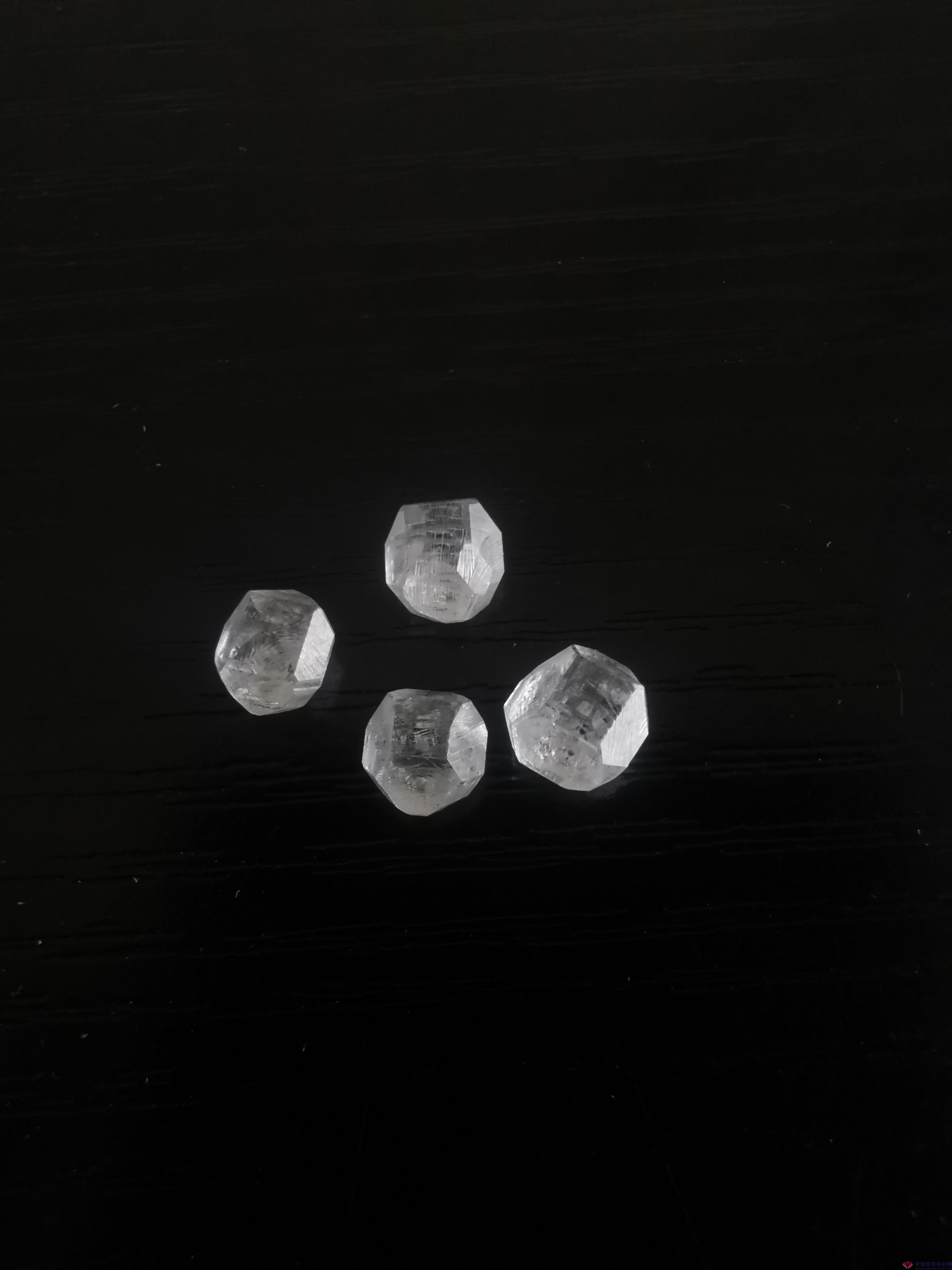 微信图片_20200518160519