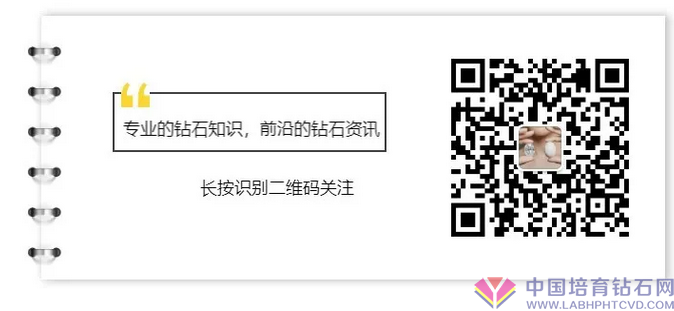 视頻：印尼裸钻商揭秘金融机构本来面目