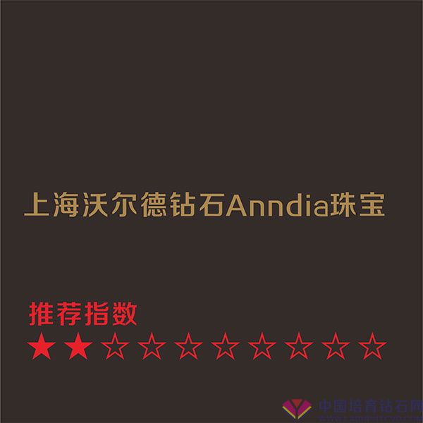 上海沃尔德钻石Anndia珠宝