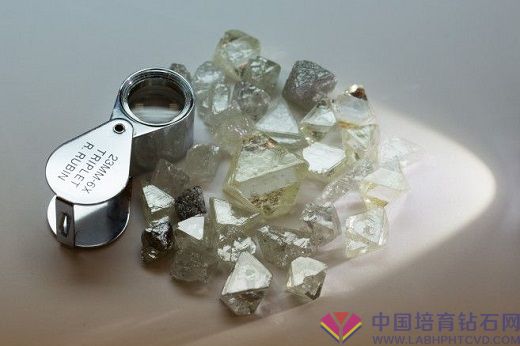 Alrosa 在强劲的市场中提高生产前景